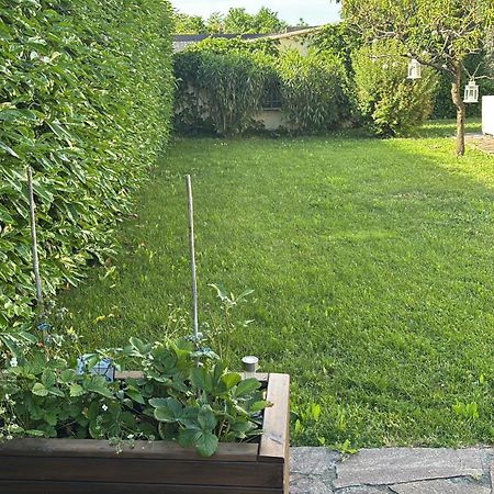 B&B Rivanazzano Tavernetta Tra Vino E Terme Rivanazzano Terme Exterior foto